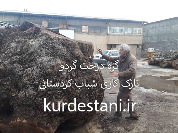 بزرگترین گره گردو جهان در نازک کاری شباب کردستان